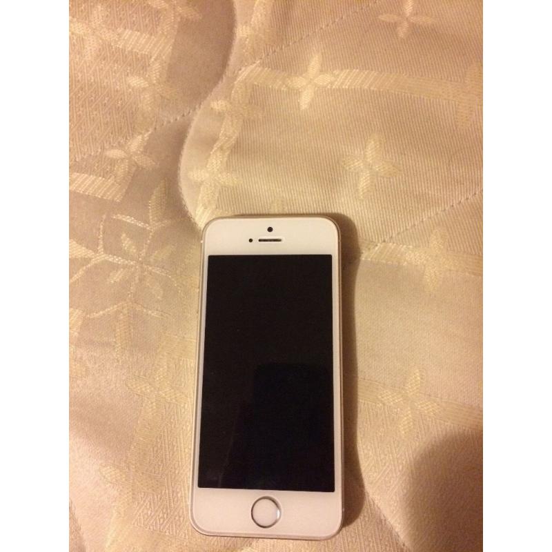iPhone 5s