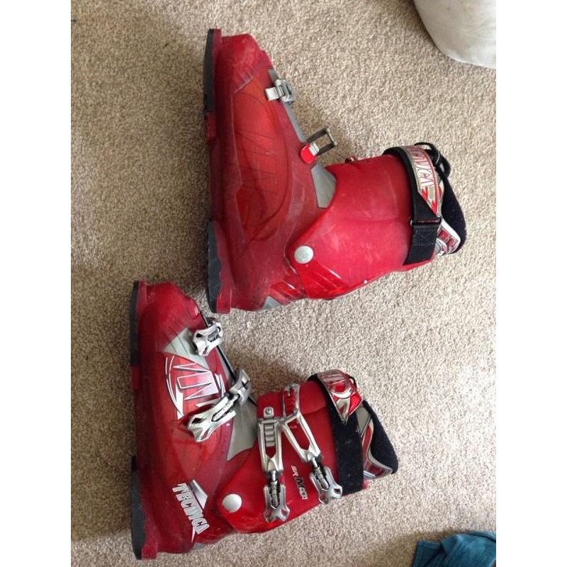 Mens technica ski boots and bag.