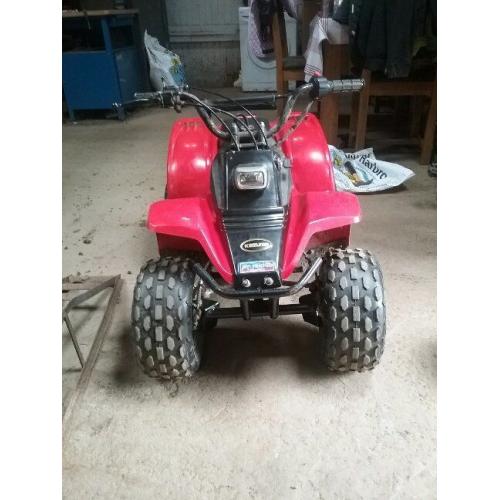 50 CC Childs Quad Bike