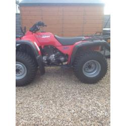 Honda trx 300 big red