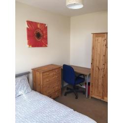 Rooms for Professionals or mature students Lisburn rd