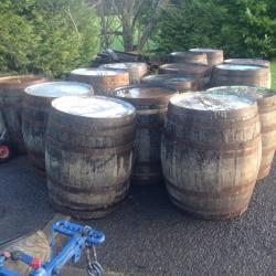 Solid oak barrels