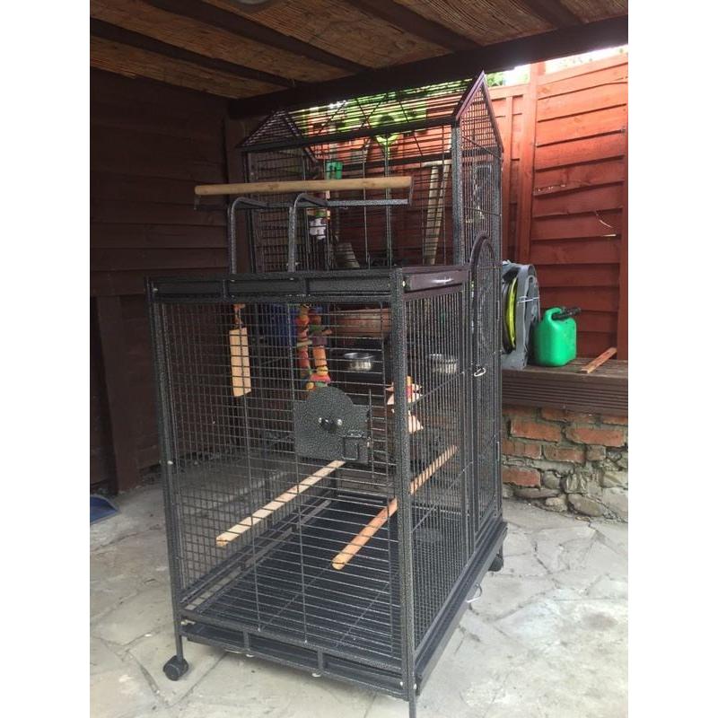 Bird cage - larger suit exotic