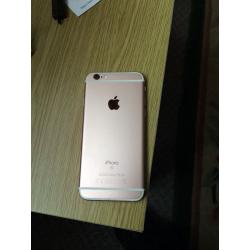 iPhone 6's