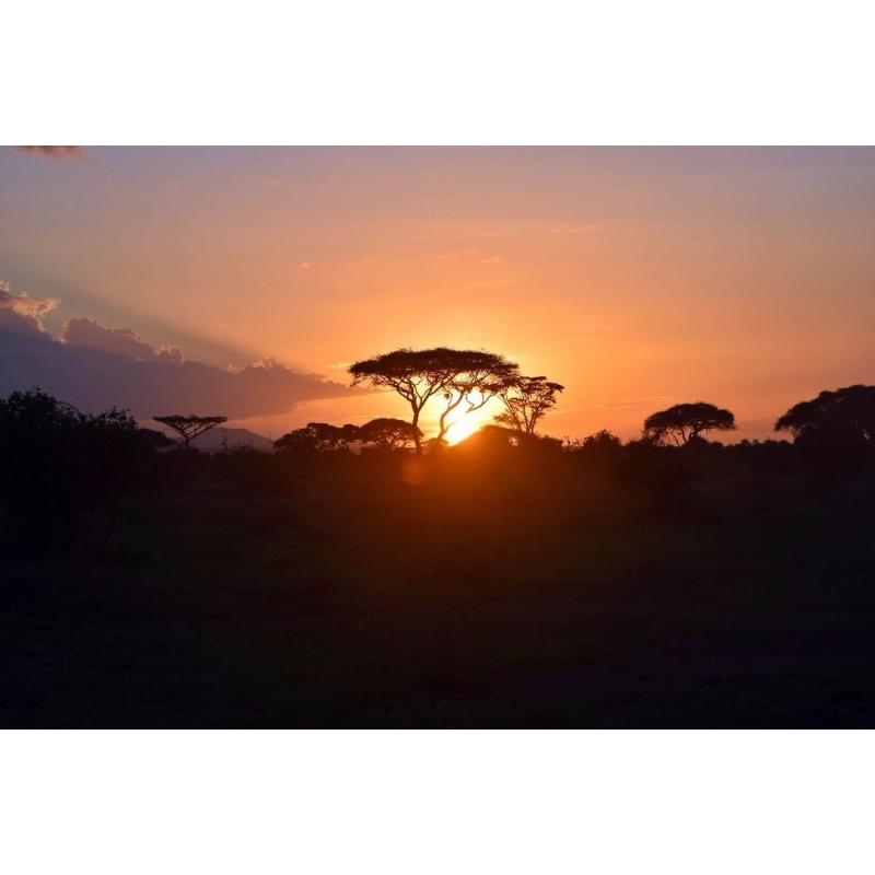 BIG MOVING - KENYA - HOLIDAY