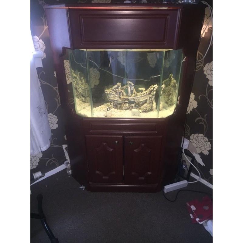 Corner fish tank for sale -120 litre