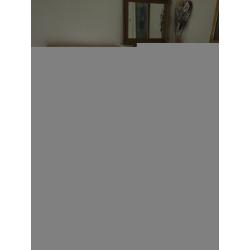 Hardwood Single Bed with additonal Trundle (GONE pending collection)