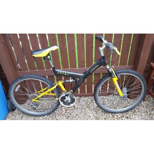 Mountain bike