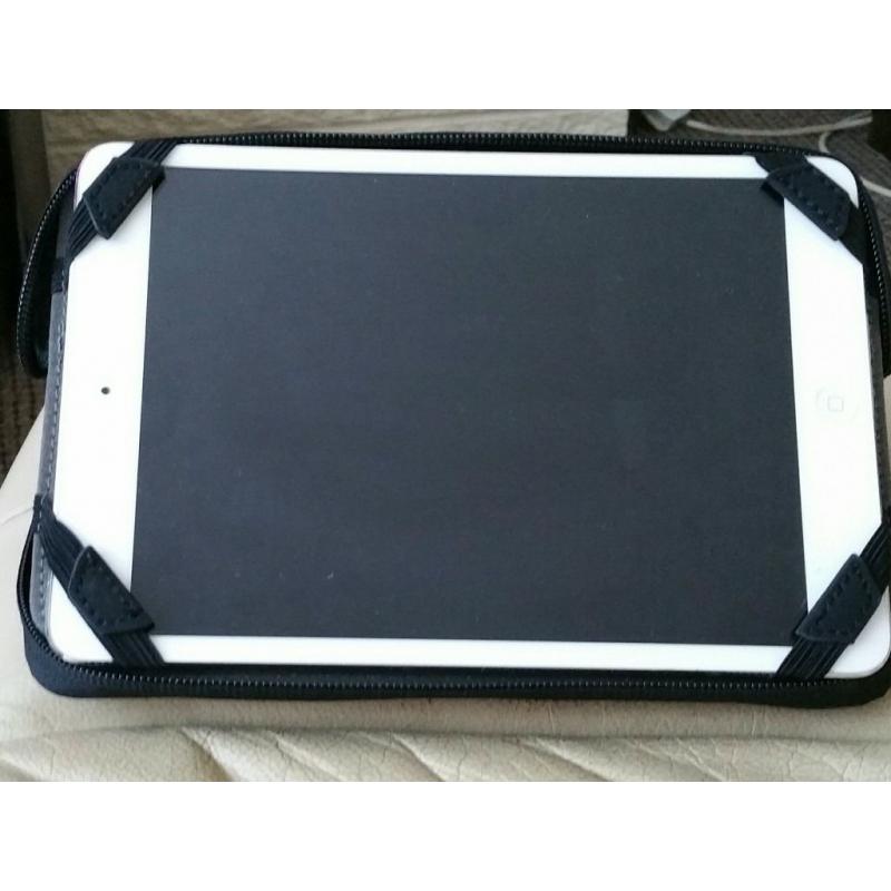 Apple ipad mini