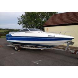 Wellcraft 192 Classic speed boat with cuddy