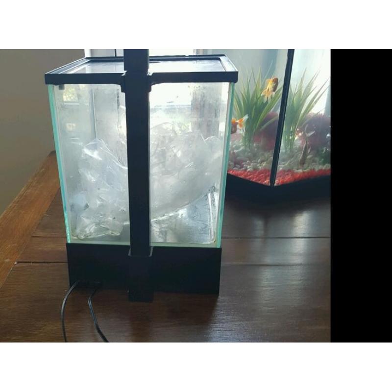 5.5 litre fish tank