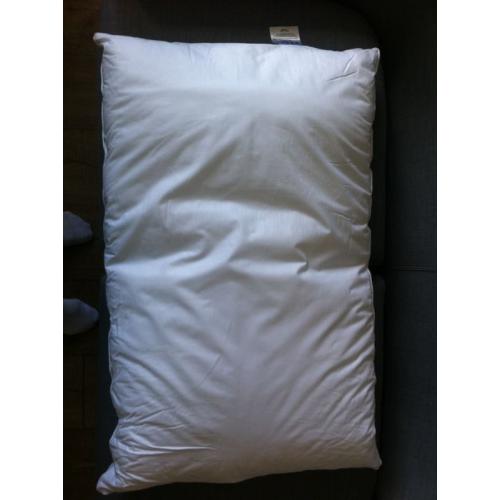 2 x brand new pillows