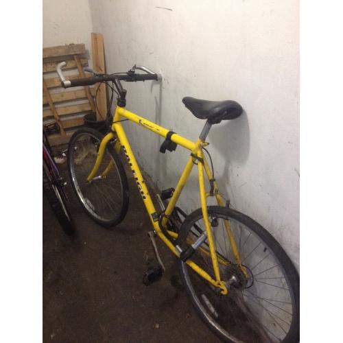 Raleigh bike