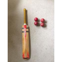 Cricket bat - Gray Nicolls Powerbow Carbo