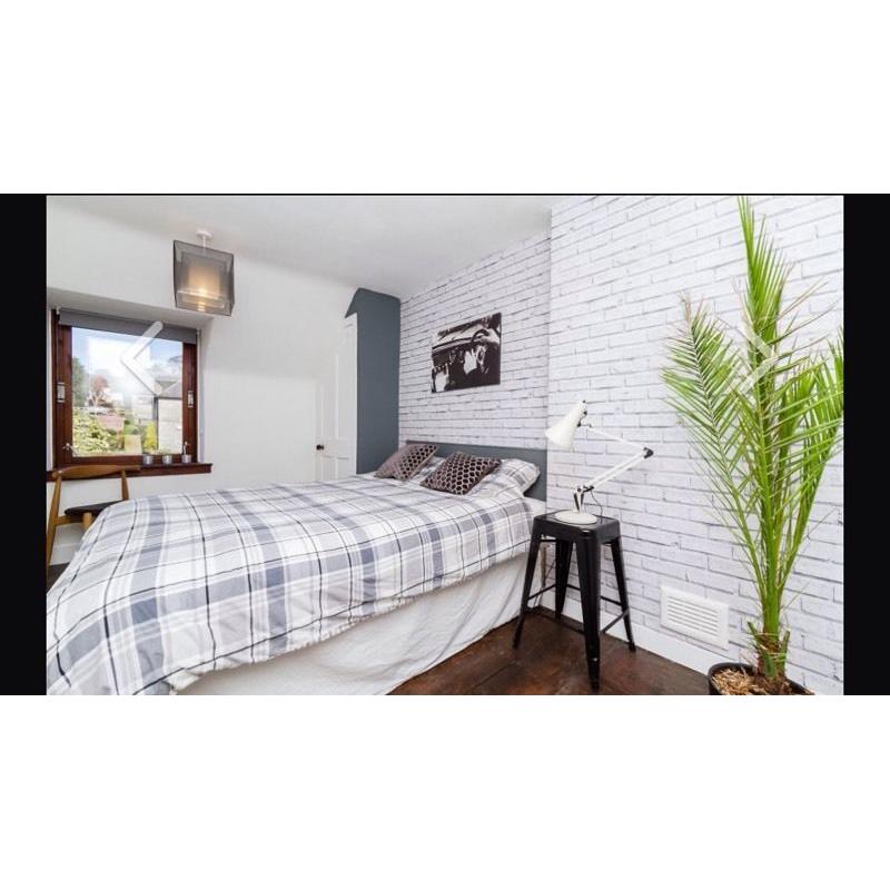 King bed frame + mattress - very comfy!