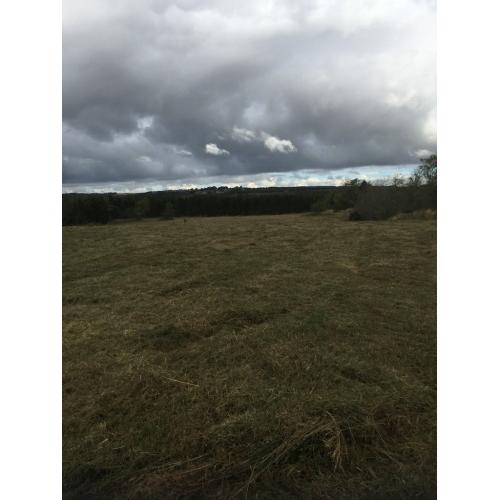 25.5 Acres of aggricultural land for sale