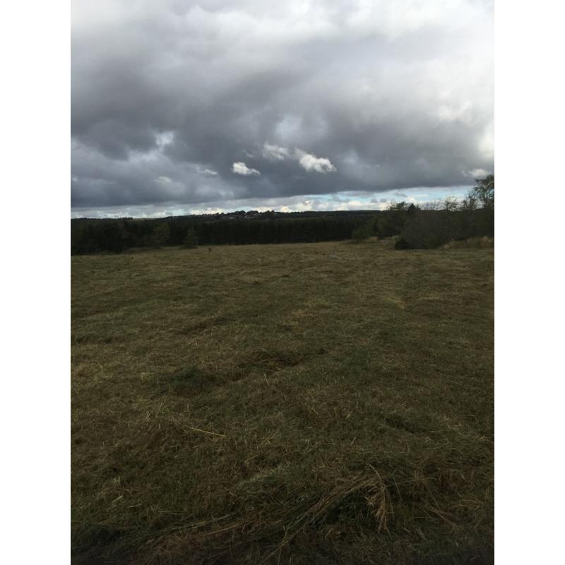 25.5 Acres of aggricultural land for sale