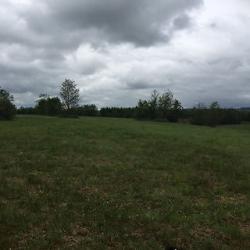 25.5 Acres of aggricultural land for sale