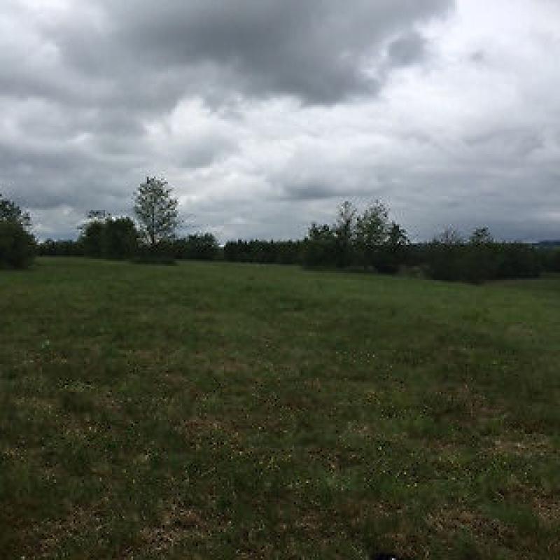 25.5 Acres of aggricultural land for sale