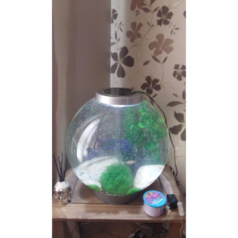 Bio fish tank