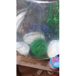 Bio fish tank