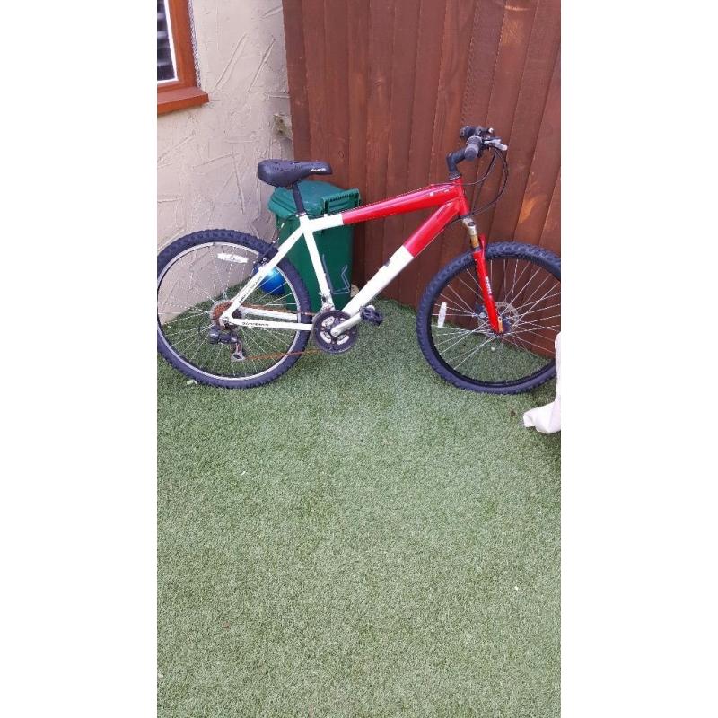 Mens mountain bike