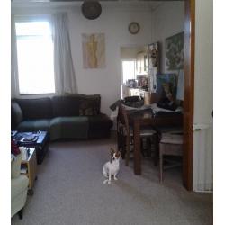 Frankie's Home from Home Dog Boarding/sitter/doggy day care/pooch sitting etc. from 10pds per day