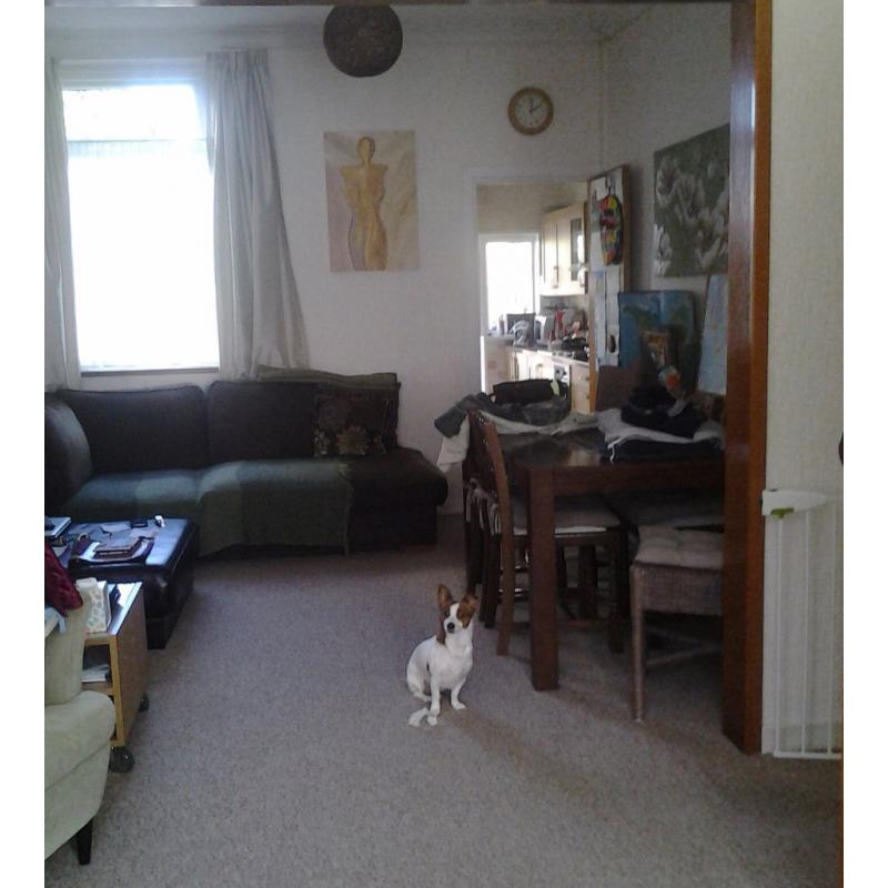 Frankie's Home from Home Dog Boarding/sitter/doggy day care/pooch sitting etc. from 10pds per day