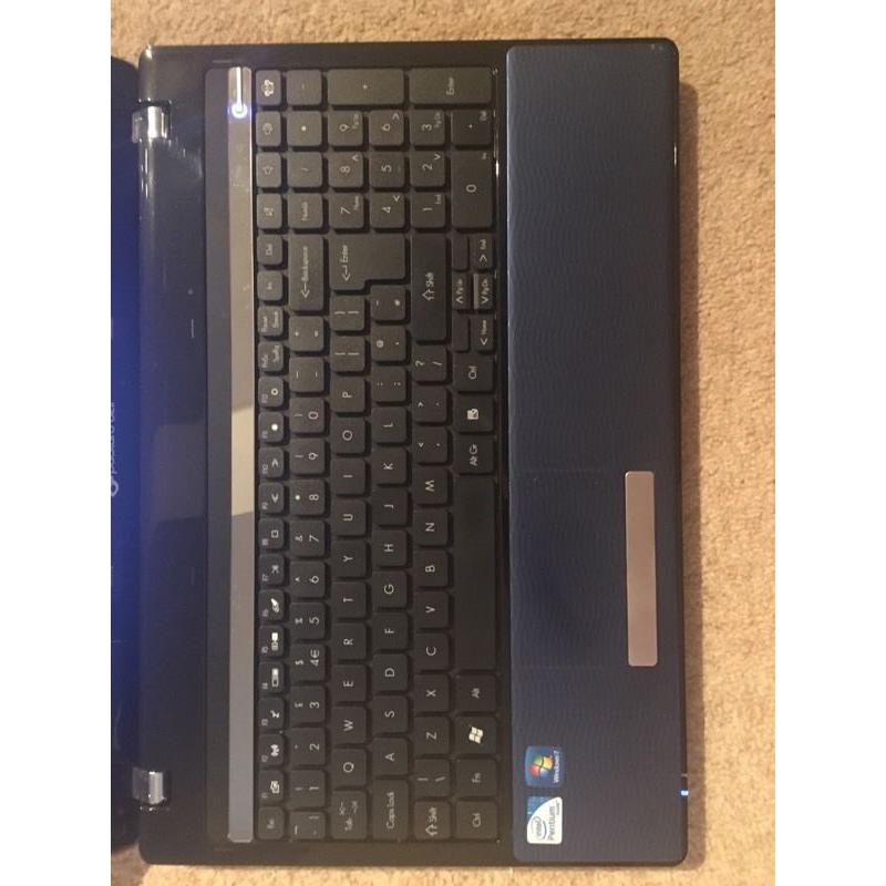 Packard Bell EasyNote TM89-GU-015 Laptop