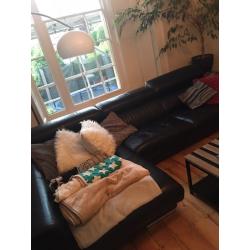 Italian leather couch
