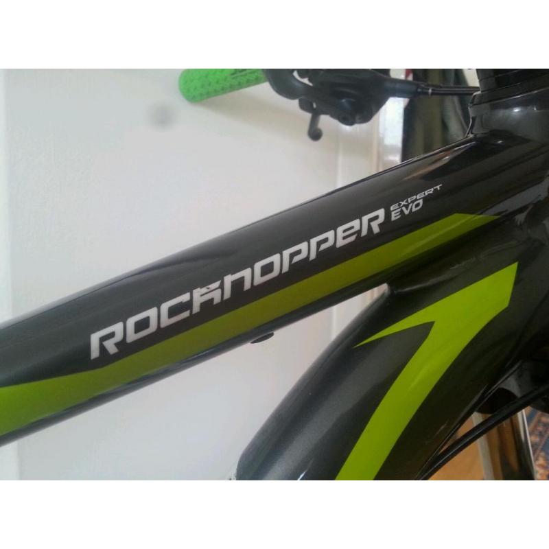 Specialized hardtail MTB