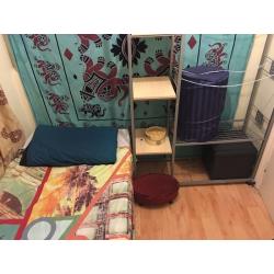 Cosy Room 89 PW - Overground & Southern Trains 4 Minutes Walk Away. No Extra Cost!