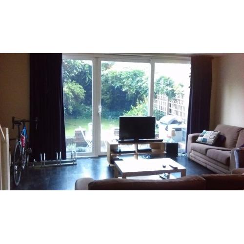 Small Double Room available in the next two weeks