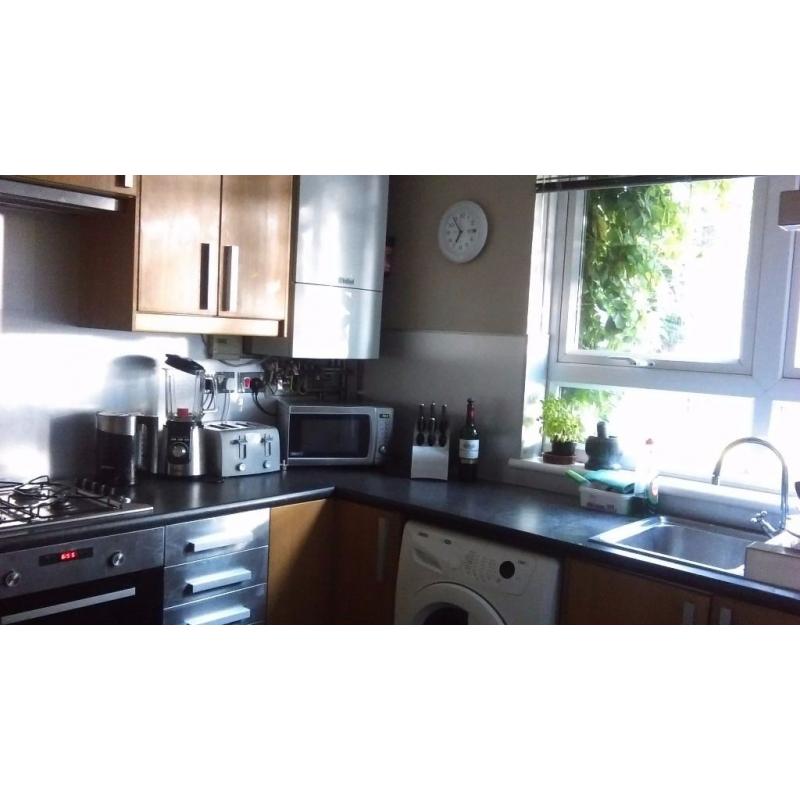 Small Double Room available in the next two weeks