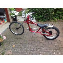Schwinn bike.