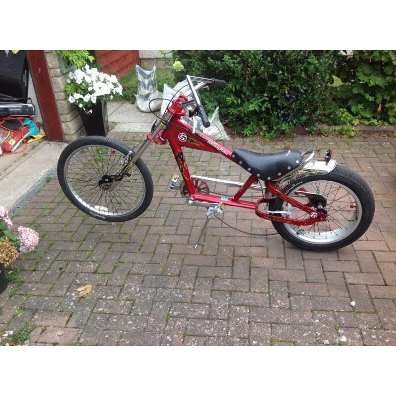 Schwinn bike.