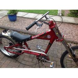 Schwinn bike.