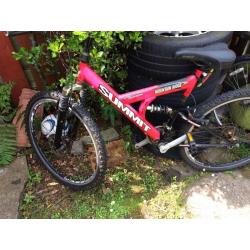 Mountain Ridge mountain bike