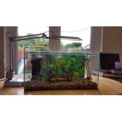 Clear Seal fish tank 50 litres