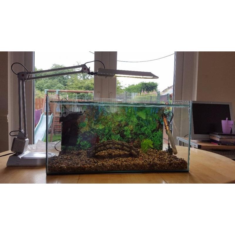 Clear Seal fish tank 50 litres