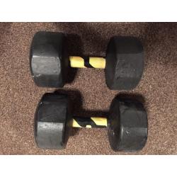 X2 30KG YORK DUMBBELLS WEIGHTS