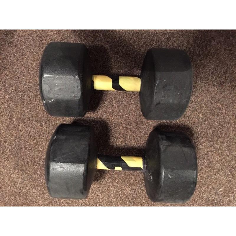 X2 30KG YORK DUMBBELLS WEIGHTS