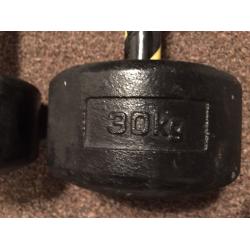 X2 30KG YORK DUMBBELLS WEIGHTS