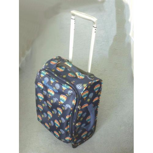Cabin (Carry-on) luggage.
