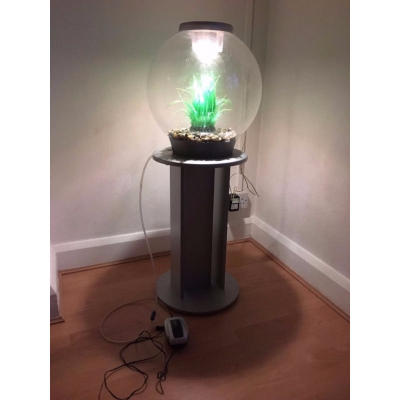Biorb 30L tank, stand and accessories