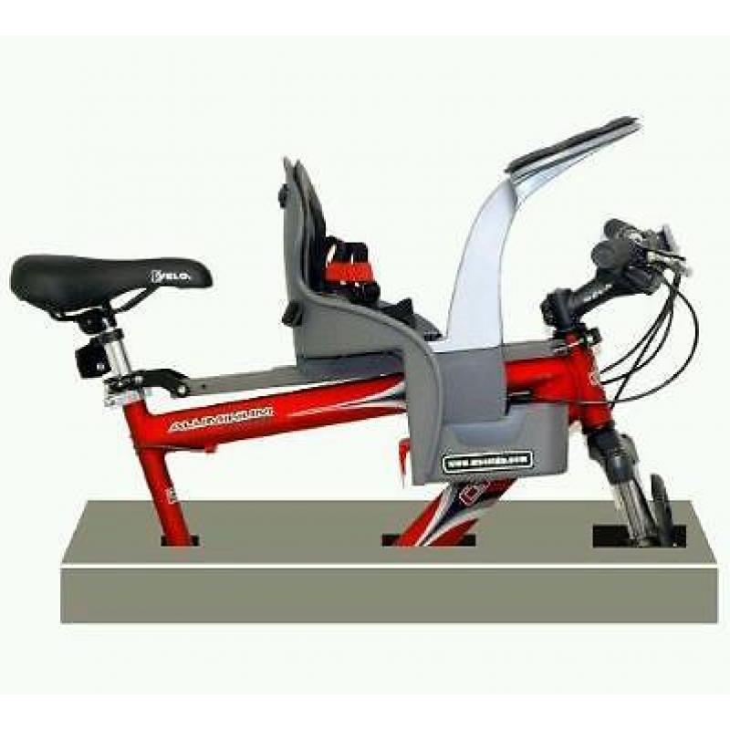 WeeRide Child Safest Bike Seat, Ages 1-4