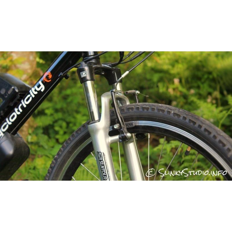 Cyclotricity Revolver Electric Bike