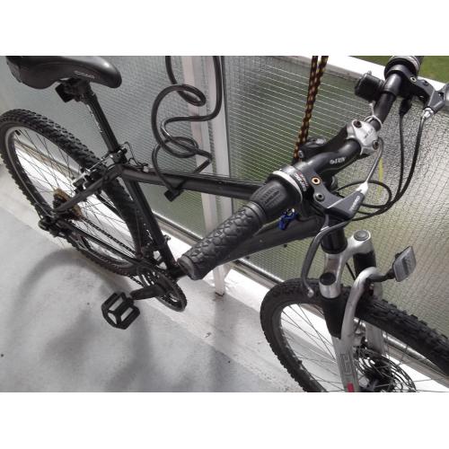 gents mountain bike