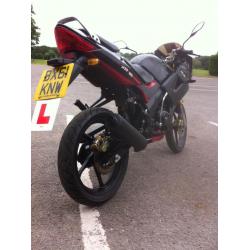 LEXMOTO XTRS125( 2011)