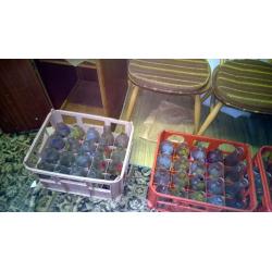 Collectors Vintage Milk Bottles